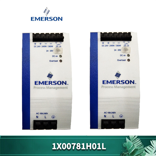 Emerson 1X00781H01L插图