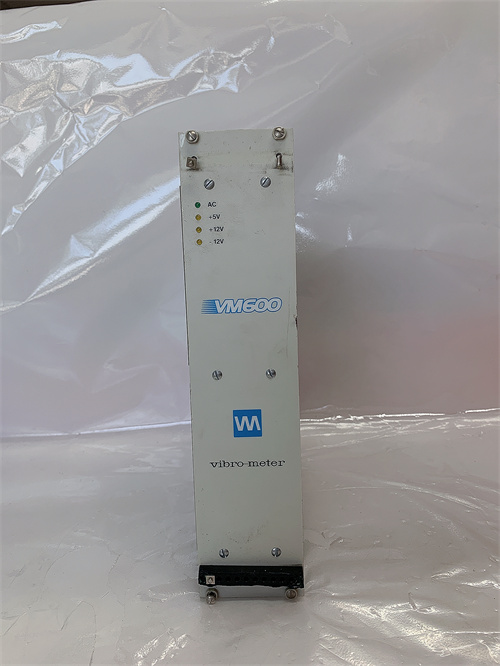 Vibro-meter VM600 RPS6U插图
