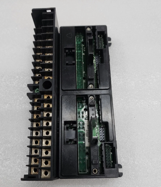 GE IC670CBL001插图1