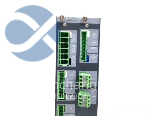DEIF SCM 4-2 SCM42 Analog Signal Input Module with Isolation缩略图
