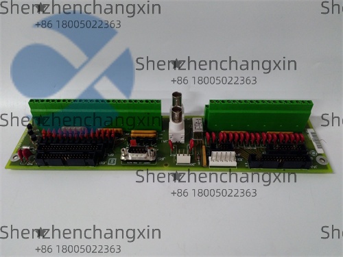 DS200CTBAG1ADD Allen-Bradley Distributed I/O Module插图