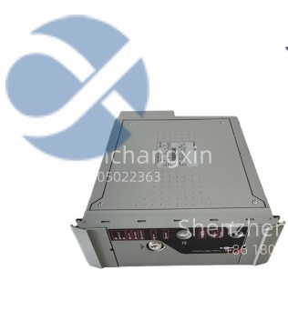 ICS Triplex T8111C Manual – Technical Specifications & Configuration Guide缩略图