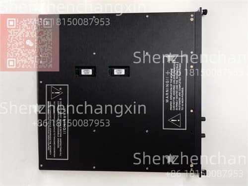 TRICONEX 4211插图1
