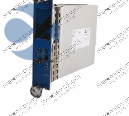 Bently Nevada 3500-50E OEM Replacement Module插图1