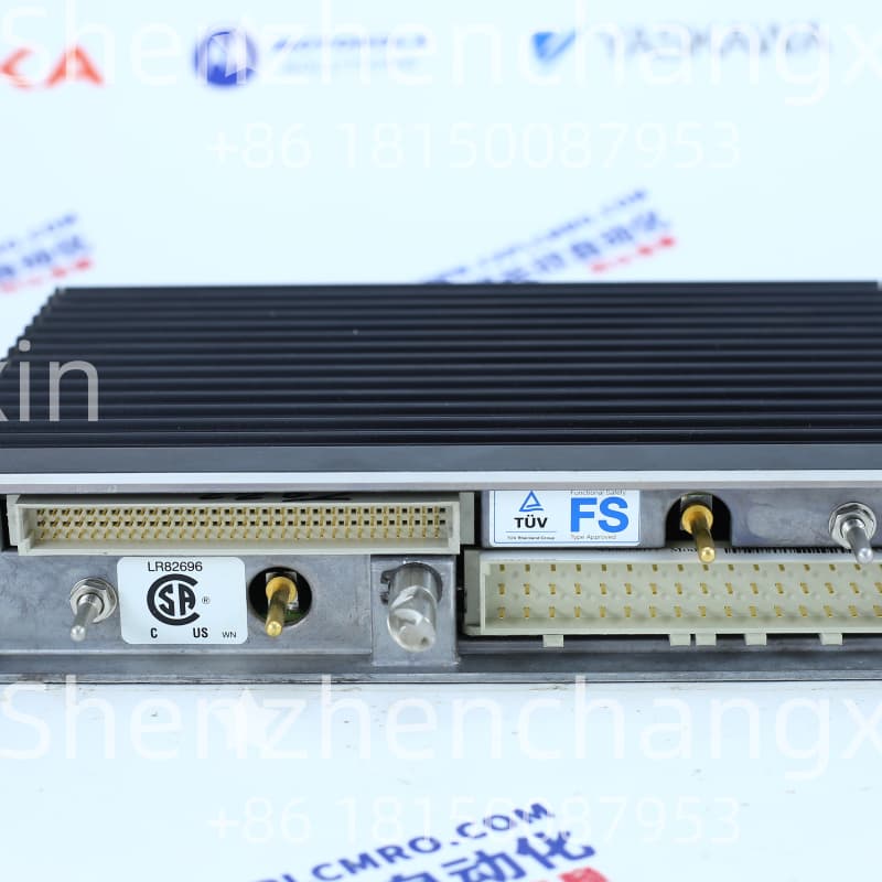 TRICONEX 3401插图