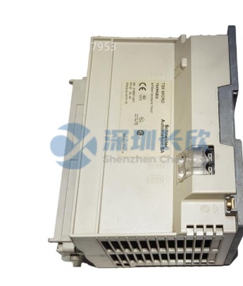 Schneider Electric TSXAEY800 Analog Input Module插图1 Schneider Electric TSXAEY800 Analog Input Module插图1