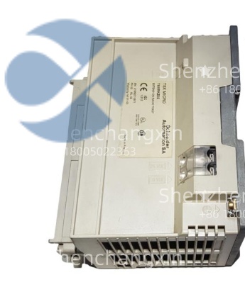 Schneider Electric TSXAEY800 Analog Input Module缩略图